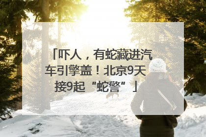 吓人，有蛇藏进汽车引擎盖！北京9天接9起“蛇警”