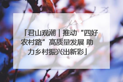 君山观潮｜推动“四好农村路”高质量发展 助力乡村振兴出新彩