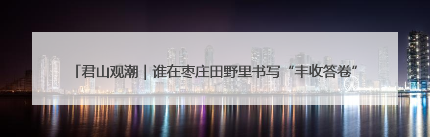 君山观潮｜谁在枣庄田野里书写“丰收答卷”？夏收交响与特色产业，共绘乡村振兴新图景