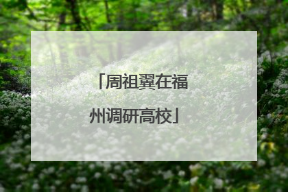 周祖翼在福州调研高校