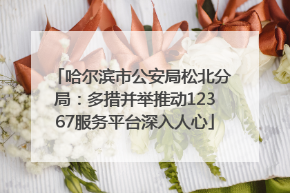 哈尔滨市公安局松北分局：多措并举推动12367服务平台深入人心