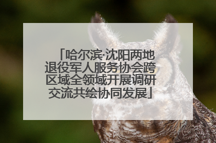 哈尔滨·沈阳两地退役军人服务协会跨区域全领域开展调研交流共绘协同发展