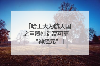 哈工大为航天国之重器打造高可靠“神经元”