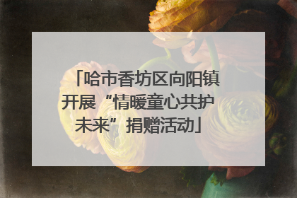 哈市香坊区向阳镇开展“情暖童心共护未来”捐赠活动