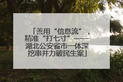 善用“信息流”，精准“打七寸”——湖北公安省市一体深挖串并力破民生案