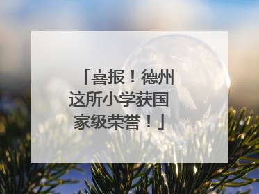 喜报！德州这所小学获国家级荣誉！
