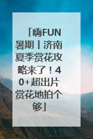 嗨FUN暑期丨济南夏季赏花攻略来了！40+超出片赏花地拍个够