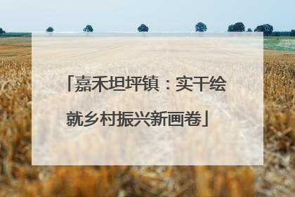 嘉禾坦坪镇：实干绘就乡村振兴新画卷