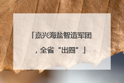 嘉兴海盐智造军团，全省“出圈”