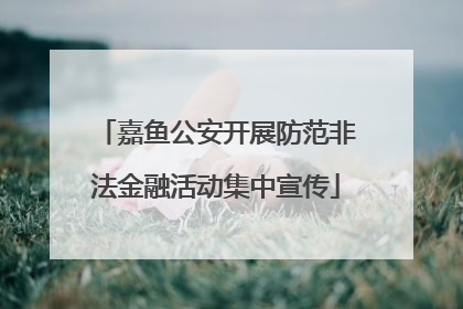 嘉鱼公安开展防范非法金融活动集中宣传
