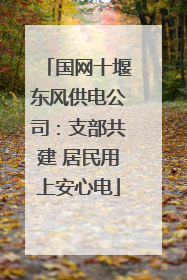 国网十堰东风供电公司：支部共建 居民用上安心电