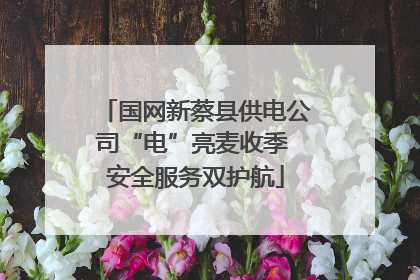 国网新蔡县供电公司“电”亮麦收季 安全服务双护航
