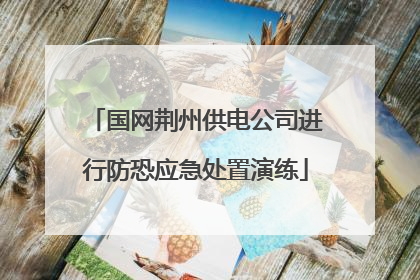 国网荆州供电公司进行防恐应急处置演练