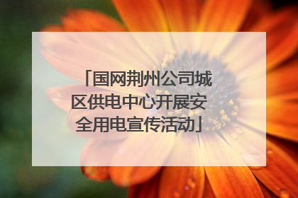 国网荆州公司城区供电中心开展安全用电宣传活动