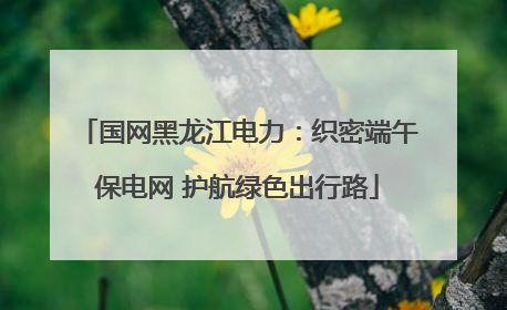 国网黑龙江电力：织密端午保电网 护航绿色出行路