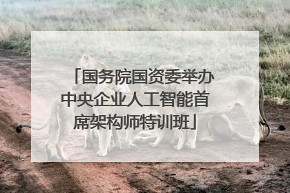 国务院国资委举办中央企业人工智能首席架构师特训班