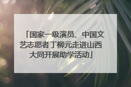 国家一级演员、中国文艺志愿者丁柳元走进山西大同开展助学活动