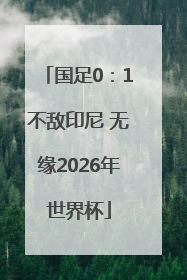 国足0：1不敌印尼 无缘2026年世界杯