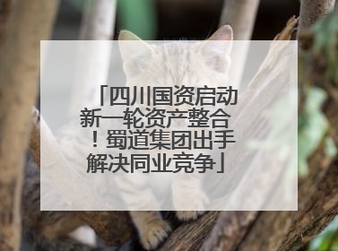 四川国资启动新一轮资产整合！蜀道集团出手解决同业竞争
