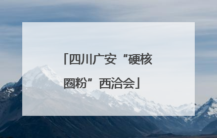 四川广安“硬核圈粉”西洽会