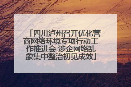 四川泸州召开优化营商网络环境专项行动工作推进会 涉企网络乱象集中整治初见成效