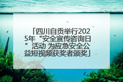 四川自贡举行2025年“安全宣传咨询日”活动 为应急安全公益短视频获奖者颁奖