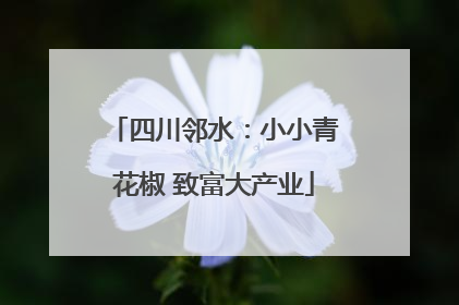 四川邻水：小小青花椒 致富大产业