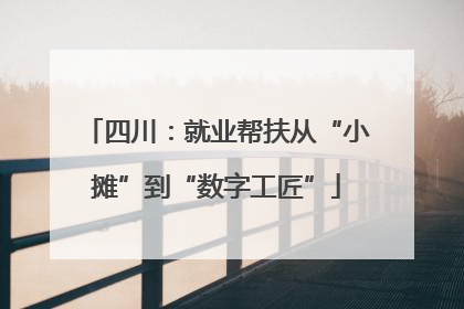 四川：就业帮扶从“小摊”到“数字工匠”