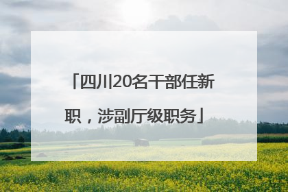 四川20名干部任新职，涉副厅级职务