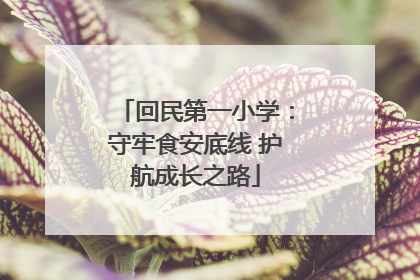 回民第一小学：守牢食安底线 护航成长之路