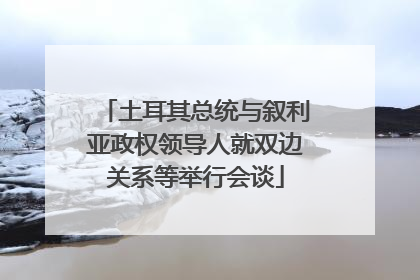 土耳其总统与叙利亚政权领导人就双边关系等举行会谈