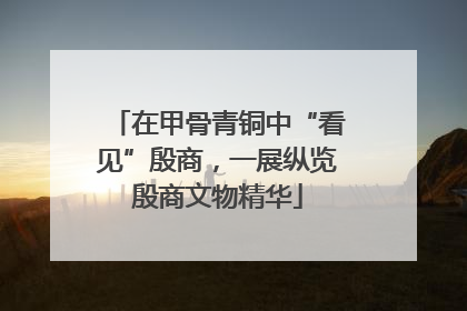 在甲骨青铜中“看见”殷商，一展纵览殷商文物精华