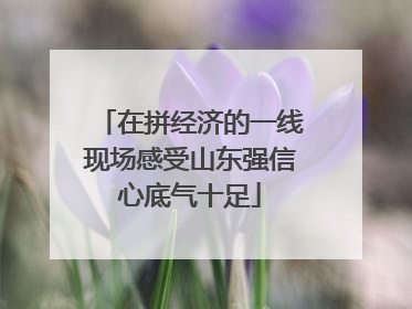 在拼经济的一线现场感受山东强信心底气十足