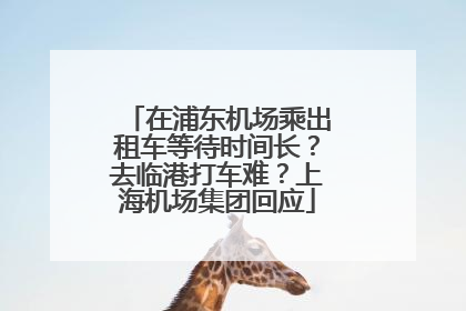 在浦东机场乘出租车等待时间长？去临港打车难？上海机场集团回应