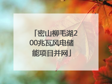 密山柳毛湖200兆瓦风电储能项目并网