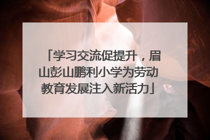 学习交流促提升，眉山彭山鹏利小学为劳动教育发展注入新活力