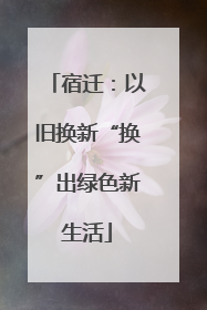 宿迁：以旧换新“换”出绿色新生活