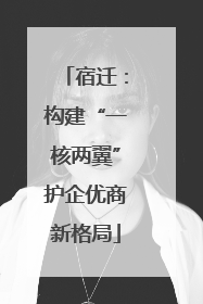 宿迁：构建“一核两翼”护企优商新格局