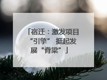 宿迁：激发项目“引擎” 挺起发展“脊梁”