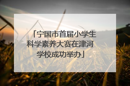 宁国市首届小学生科学素养大赛在津河学校成功举办