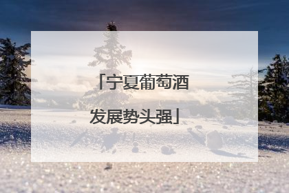 宁夏葡萄酒发展势头强