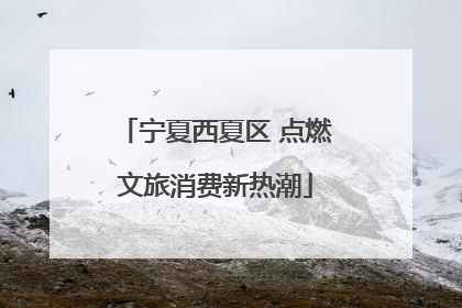 宁夏西夏区 点燃文旅消费新热潮