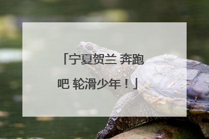 宁夏贺兰 奔跑吧 轮滑少年！