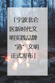 宁波北仑区新时代文明实践品牌“港”文明正式发布