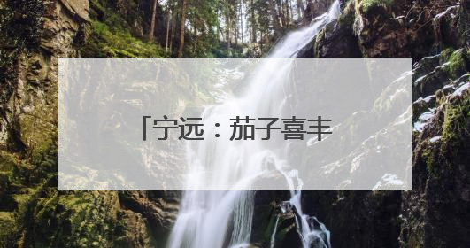 宁远：茄子喜丰收 产业促振兴