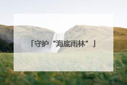 守护“海底雨林”