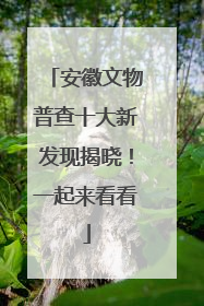 安徽文物普查十大新发现揭晓！一起来看看