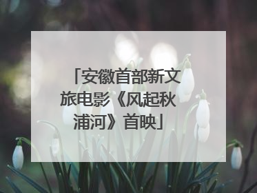 安徽首部新文旅电影《风起秋浦河》首映
