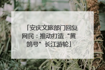 安庆文旅部门回复网民：推动打造“黄鹄号”长江游轮