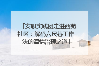 安职实践团走进西苑社区：解码六尺巷工作法的温情治理之道
